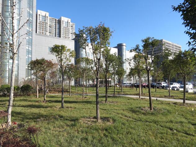 逛逛郑州IT精英的后花园,云和小编带你实地考察云和数据